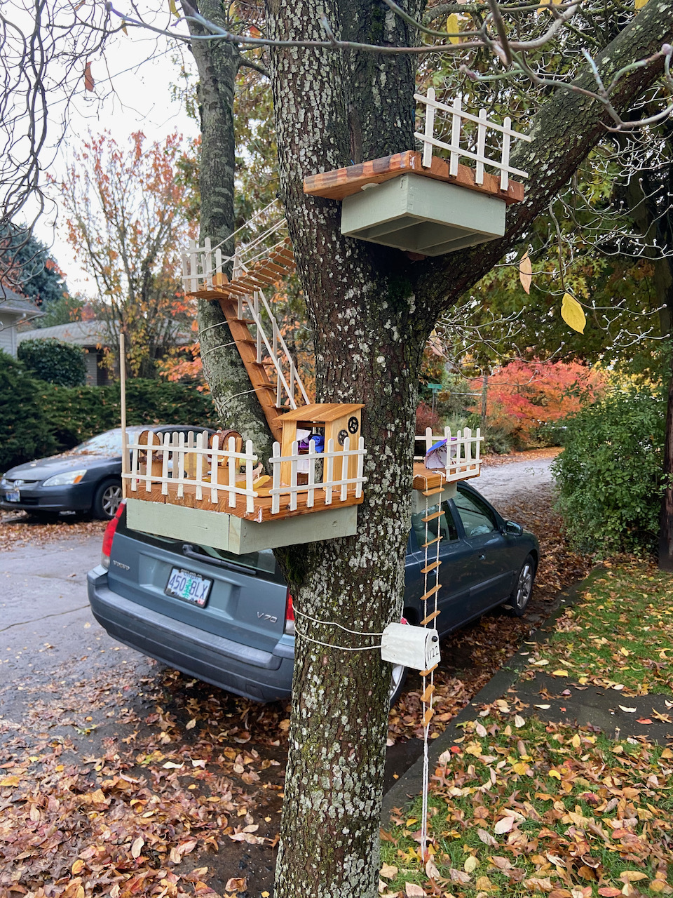 Tree House for Fairies. Or Squirrels. North side.